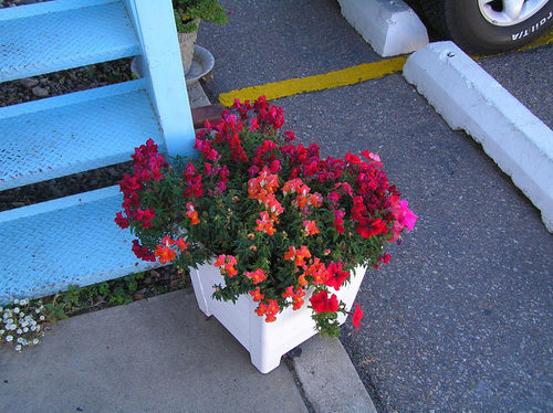 Hiway House Motel Albuquerque Exterior foto